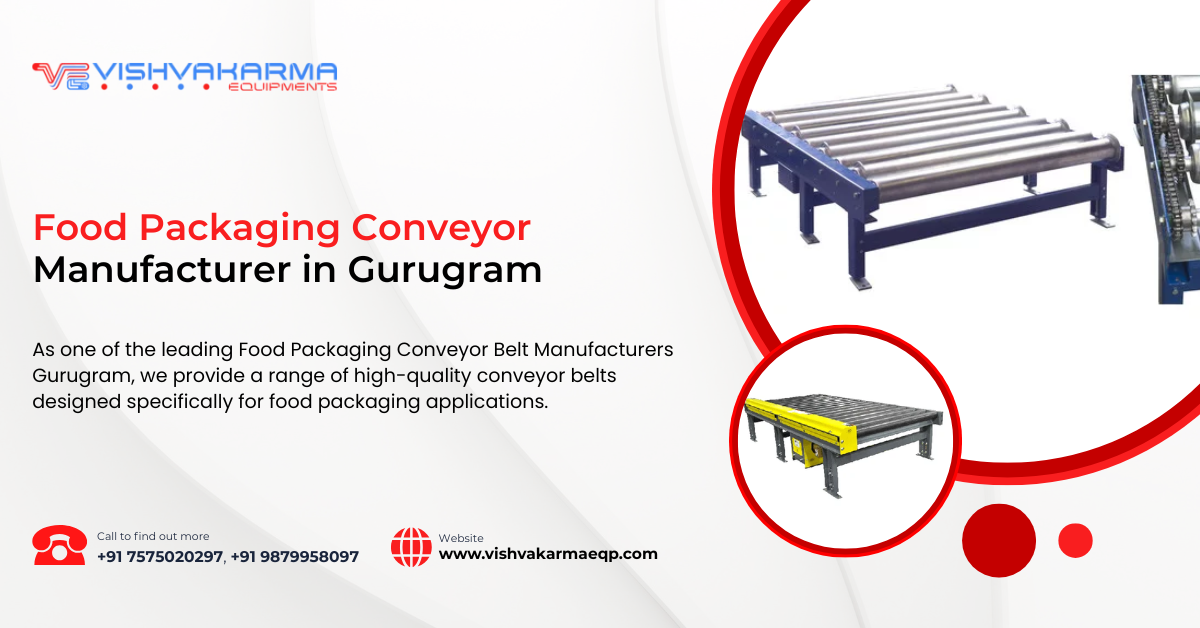 Food Packaging Conveyor Manufacturer Gurugram