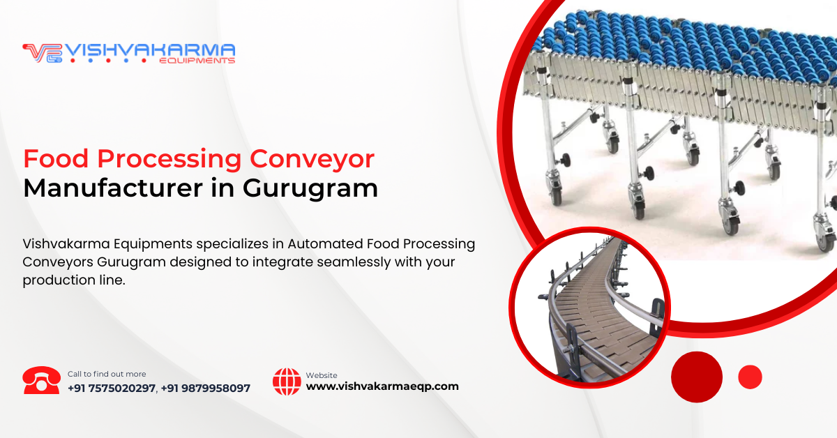 Food Processing Conveyor Manufacturer in Gurugram