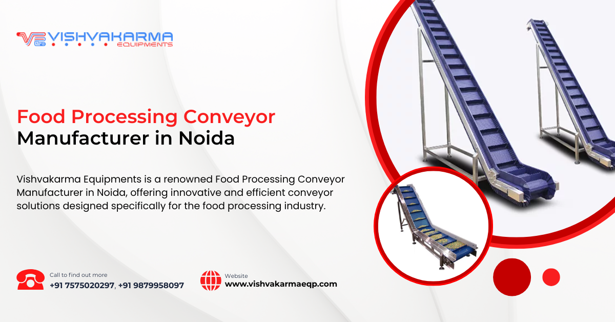 Food Processing Conveyor Manufacturer in Noida