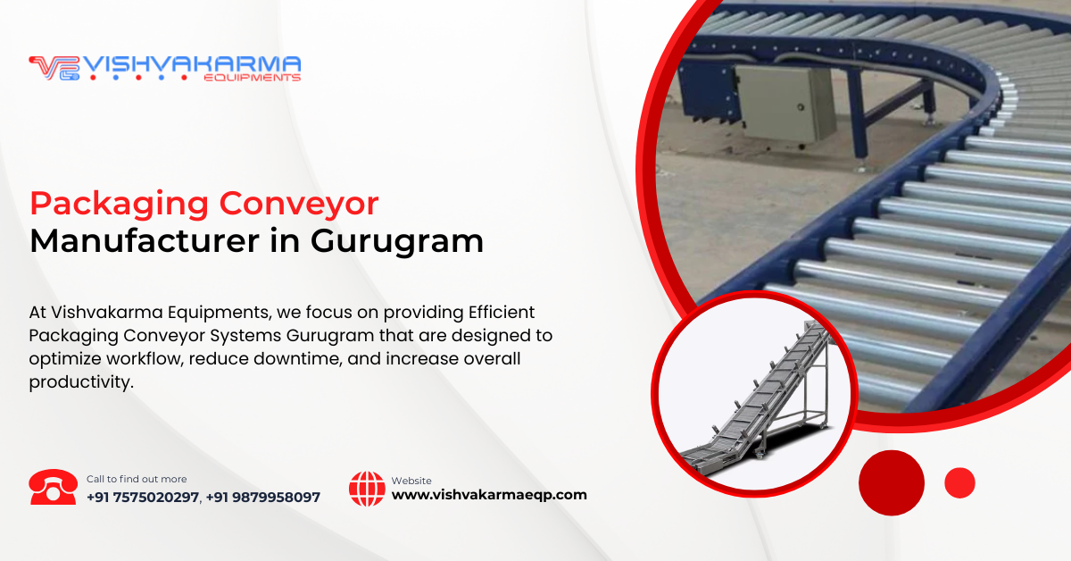 Packaging Conveyor Manufacturer in Gurugram